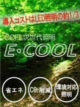 e-cool